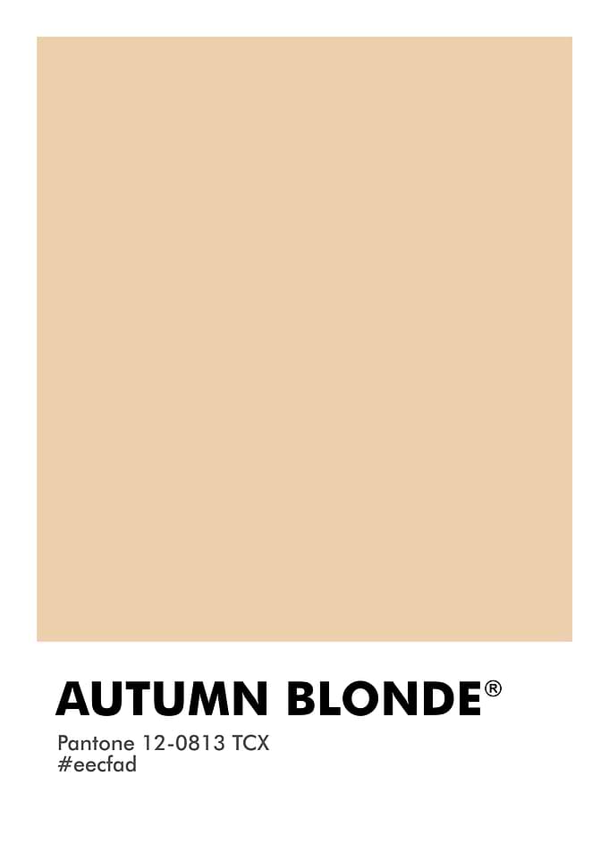 PANTONE AUTUMN BLONDE