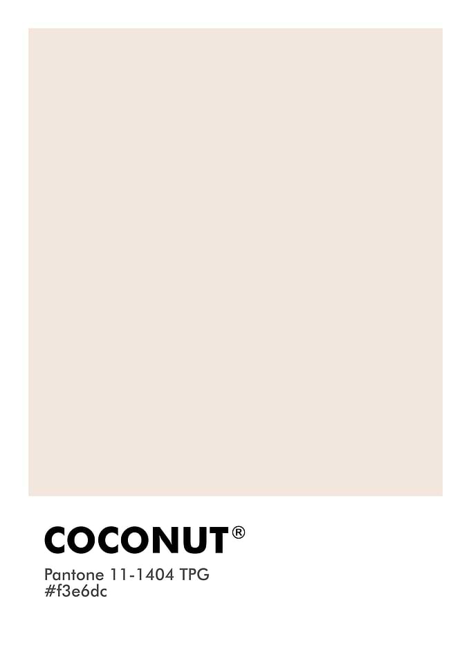 PANTONE COCONUT