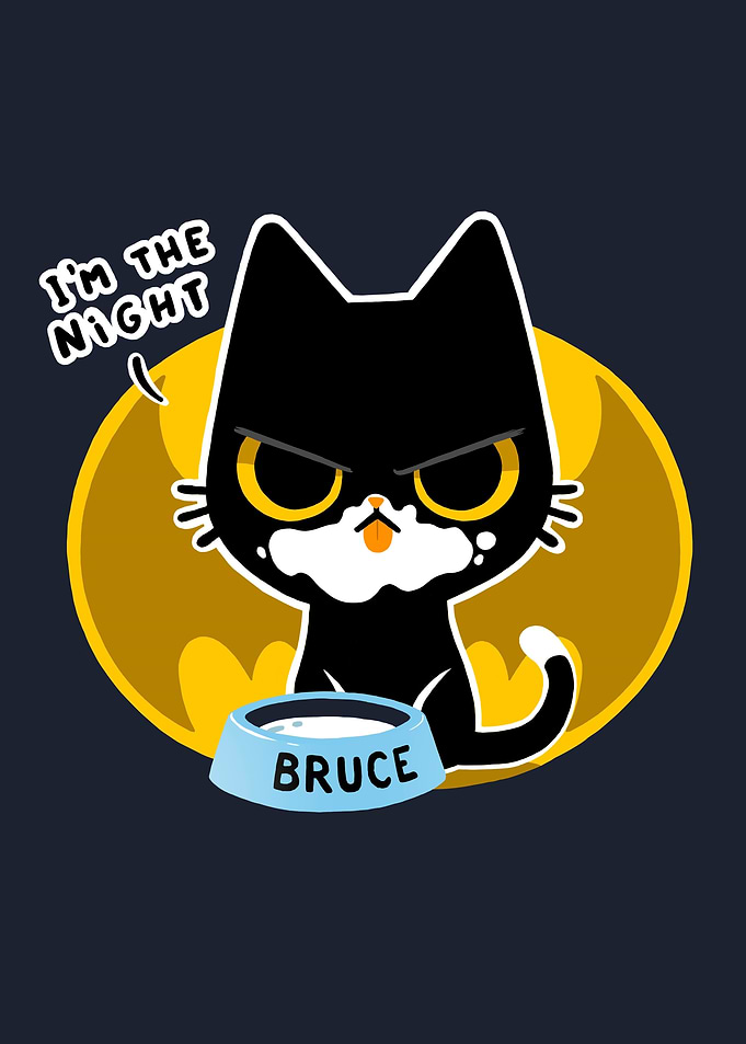 I am the night hero cat
