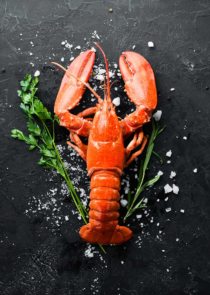 Lobster