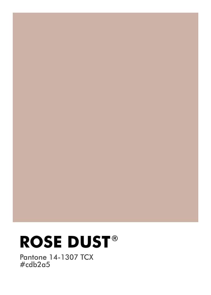 PANTONE ROSE DUST