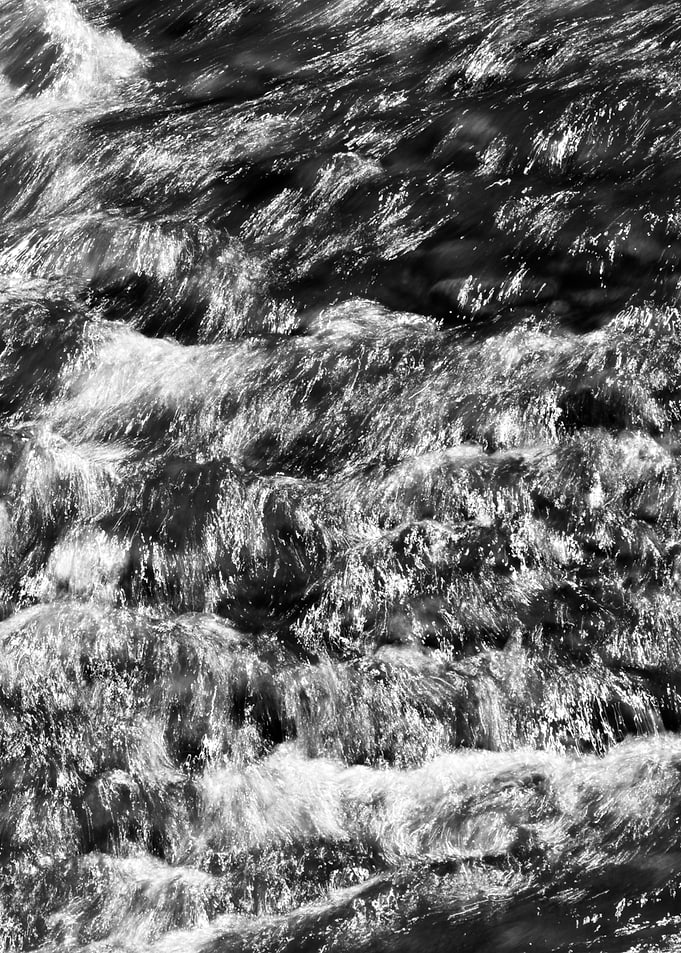 Nature Black and White