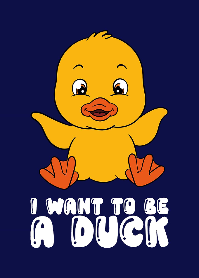 Funny Duck Graphic