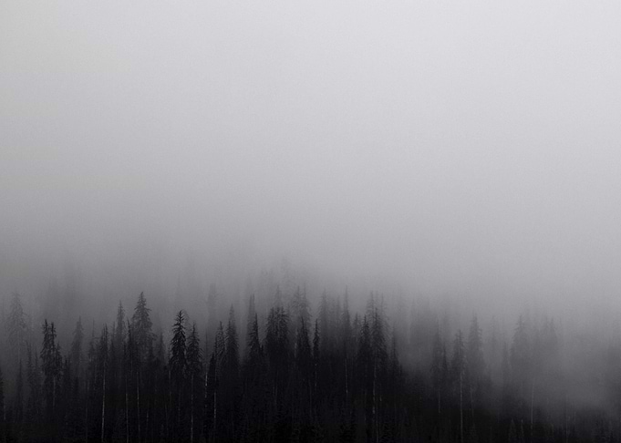 Forest Heavy Grey