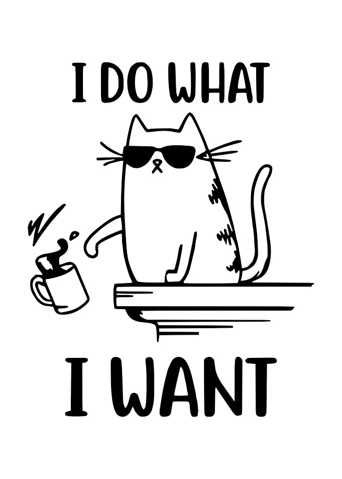 I do what i want