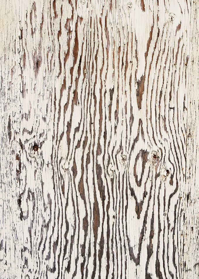 Natural Wood Grain Texture