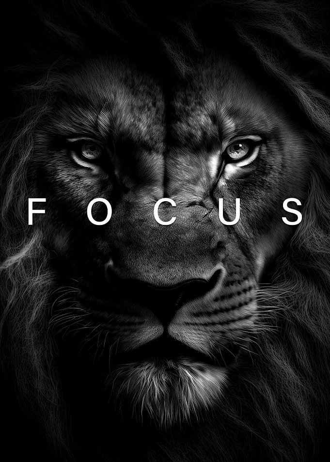 lion focus