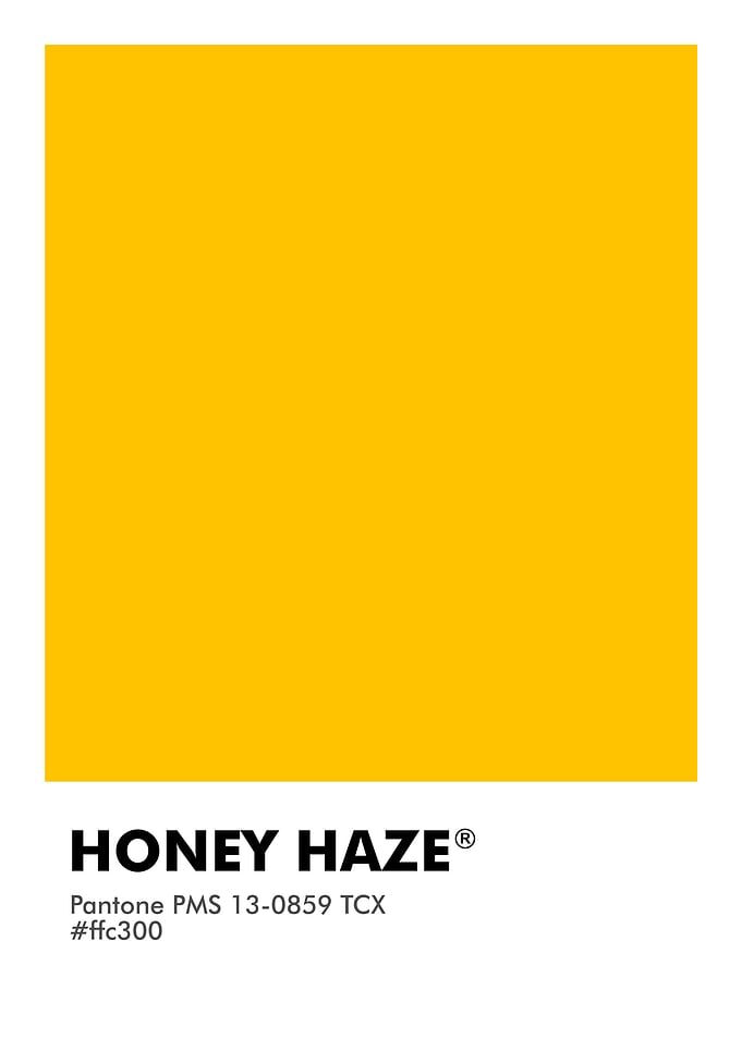 PANTONE HONEY HAZE