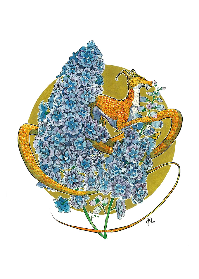 Delphinium