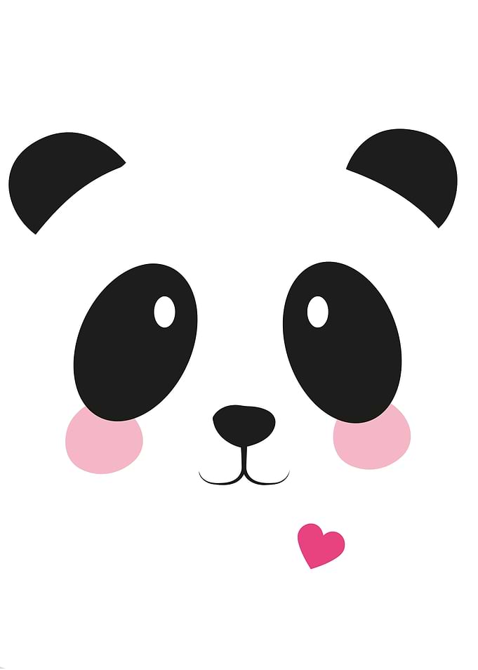 baby panda bear