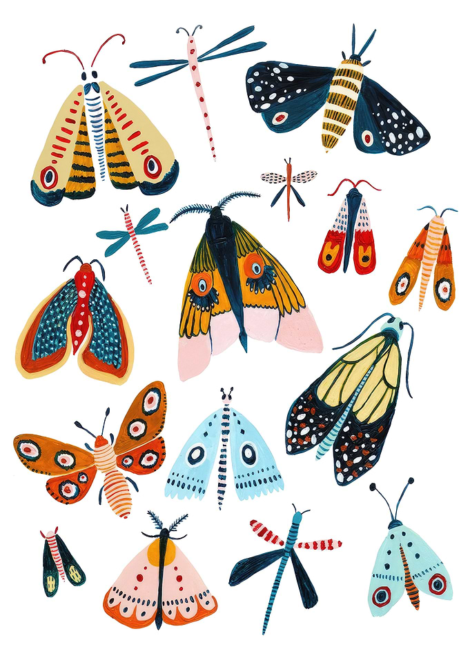 Insect Butterfly