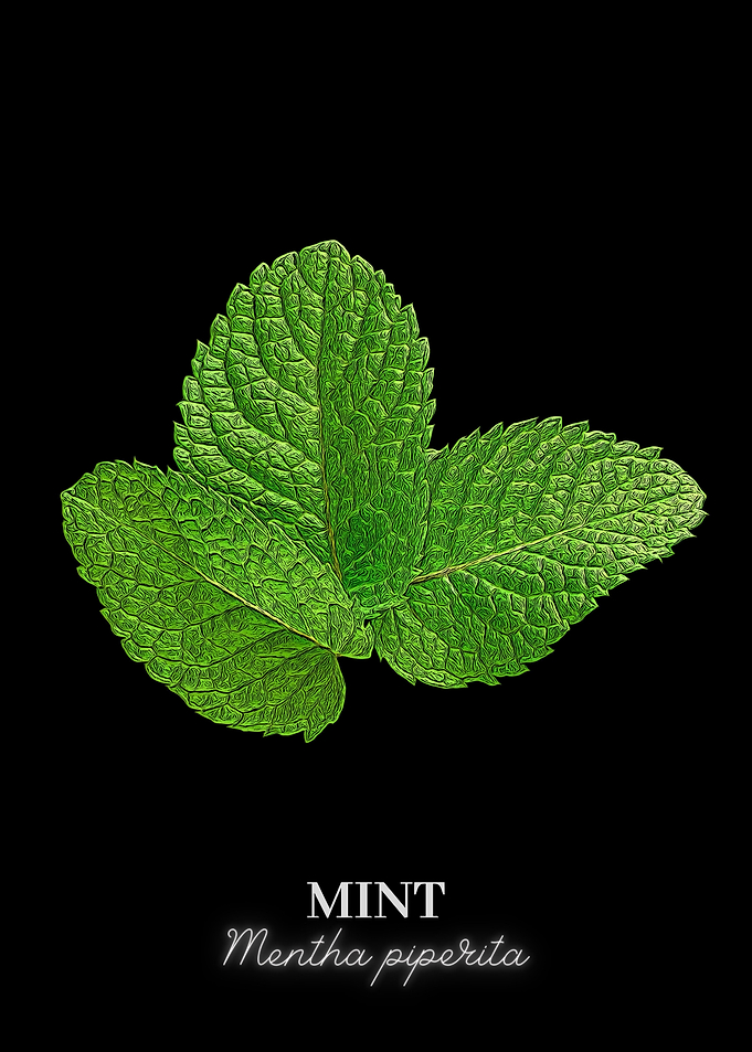 Mint