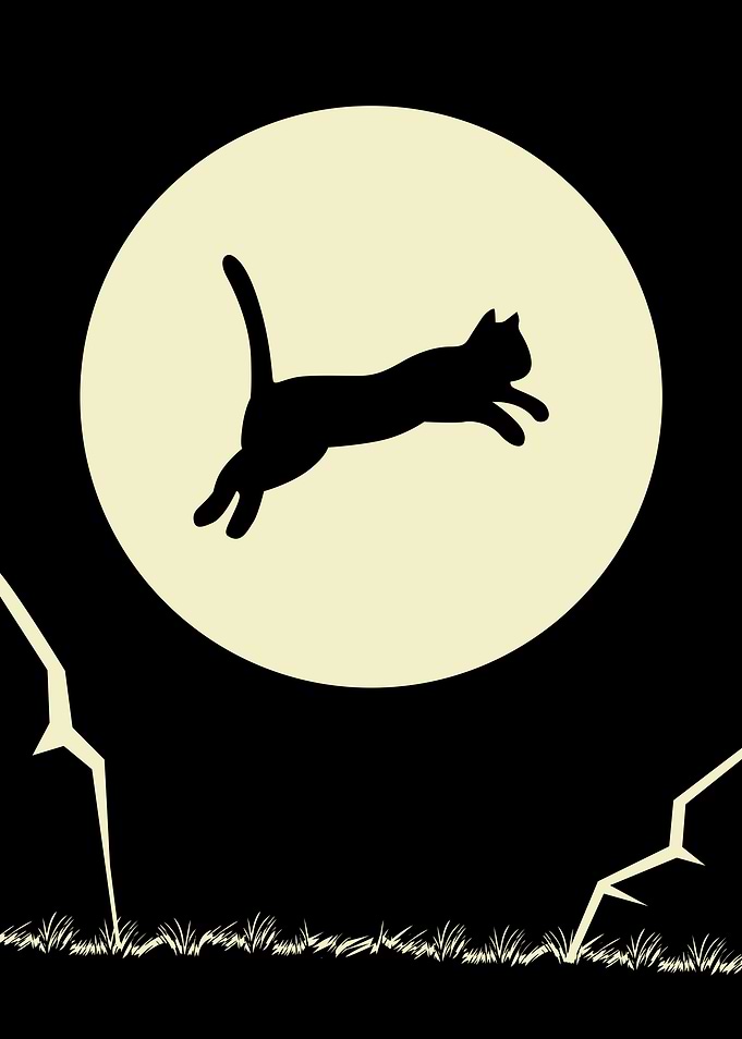 Moon Cat