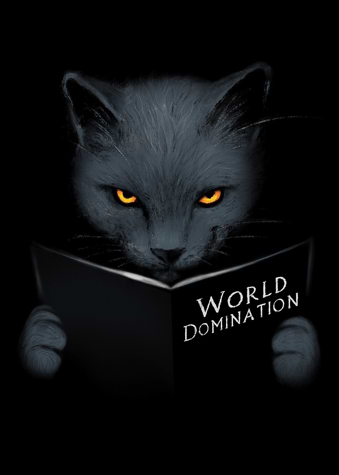 World domination cute cat