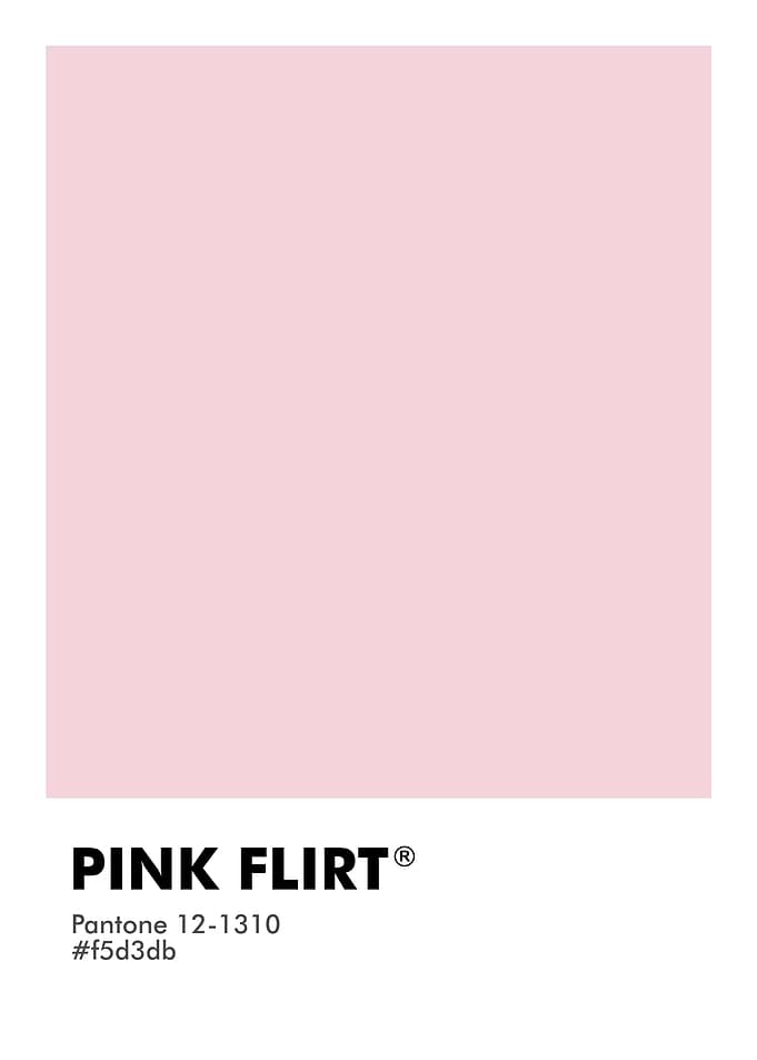 PANTONE PINK FLIRT