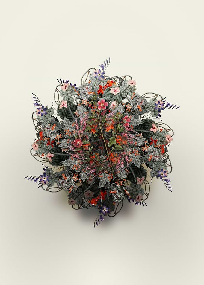 Cape African Queen Wreath