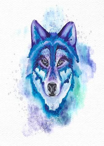 Wild Wolf Face