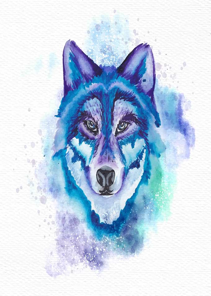Wild Wolf Face