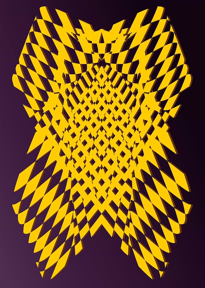 The Warrior s Wolf Shield