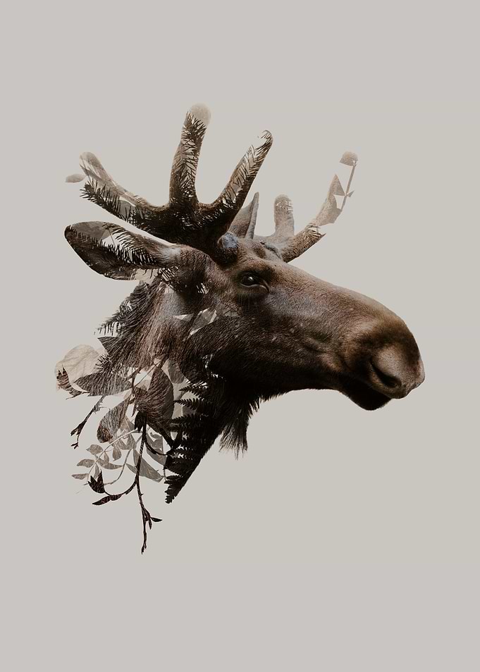 Botanical Moose