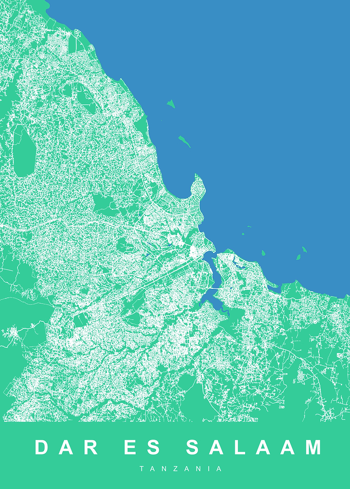 DAR ES SALAAM TANZANIA