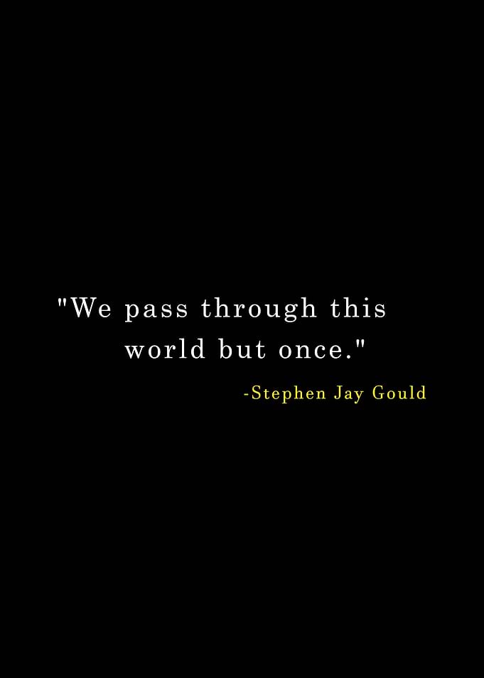 Life Quotes