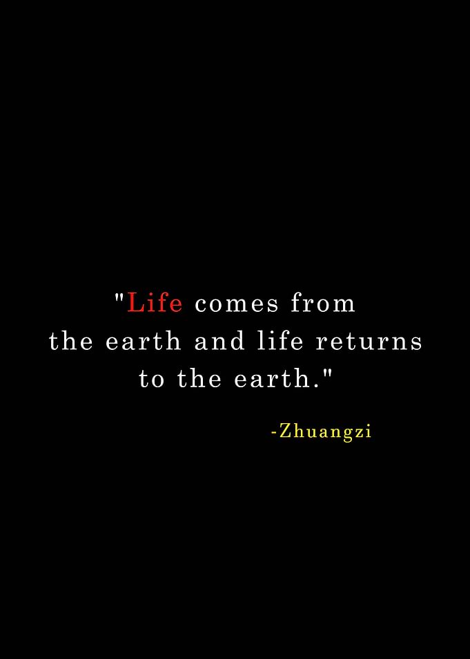 Life Quotes