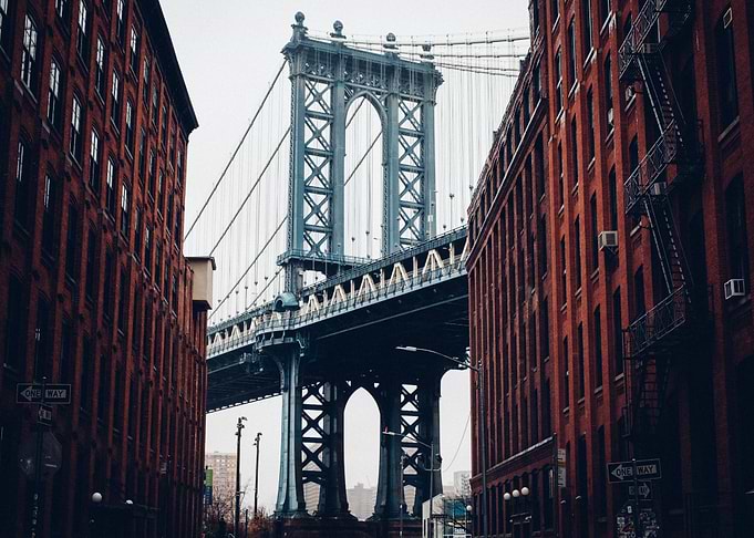 Concrete Jungle