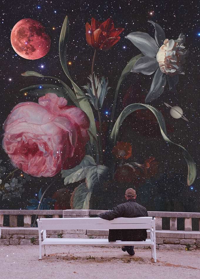Heavenly View