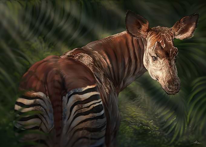 Okapi
