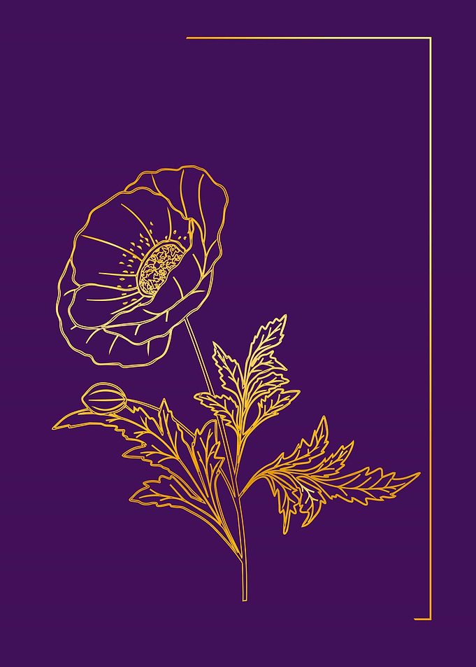Flowers on dark