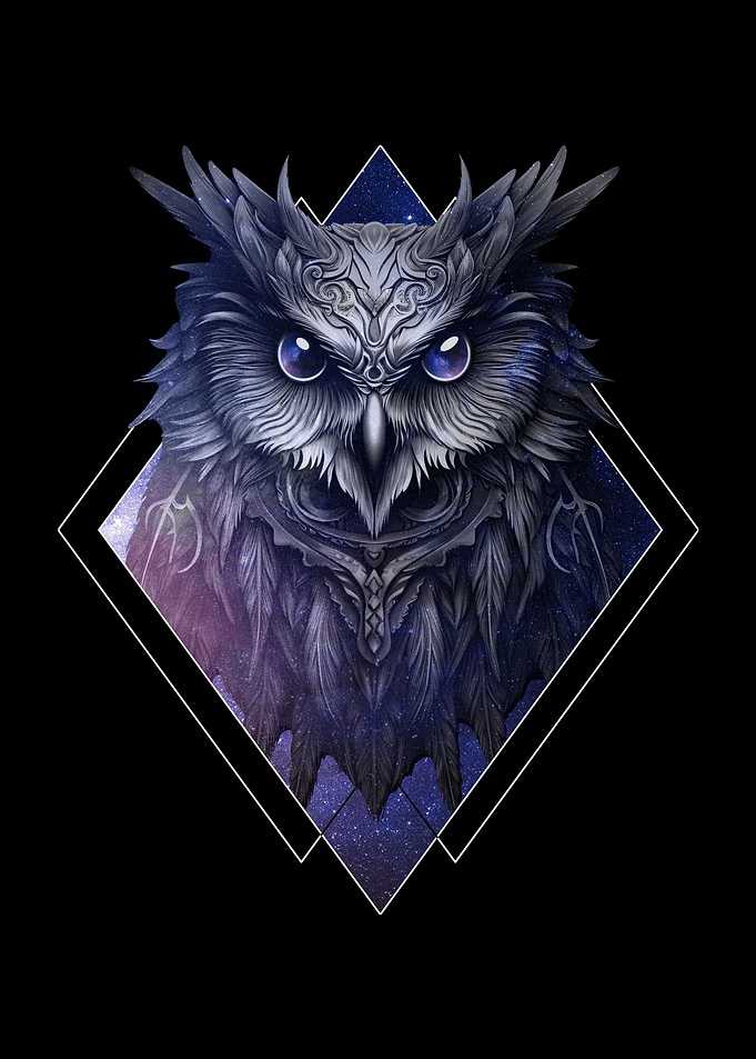 Celestial Space Owl