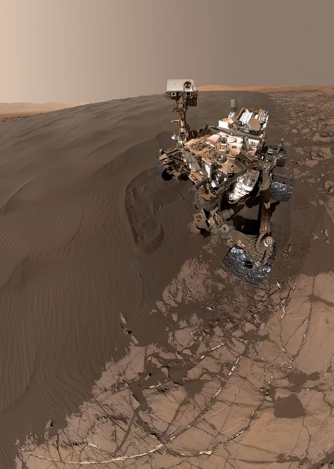 Curiosity selfie
