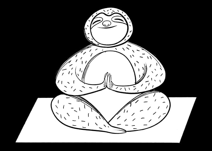 Sloth Yoga