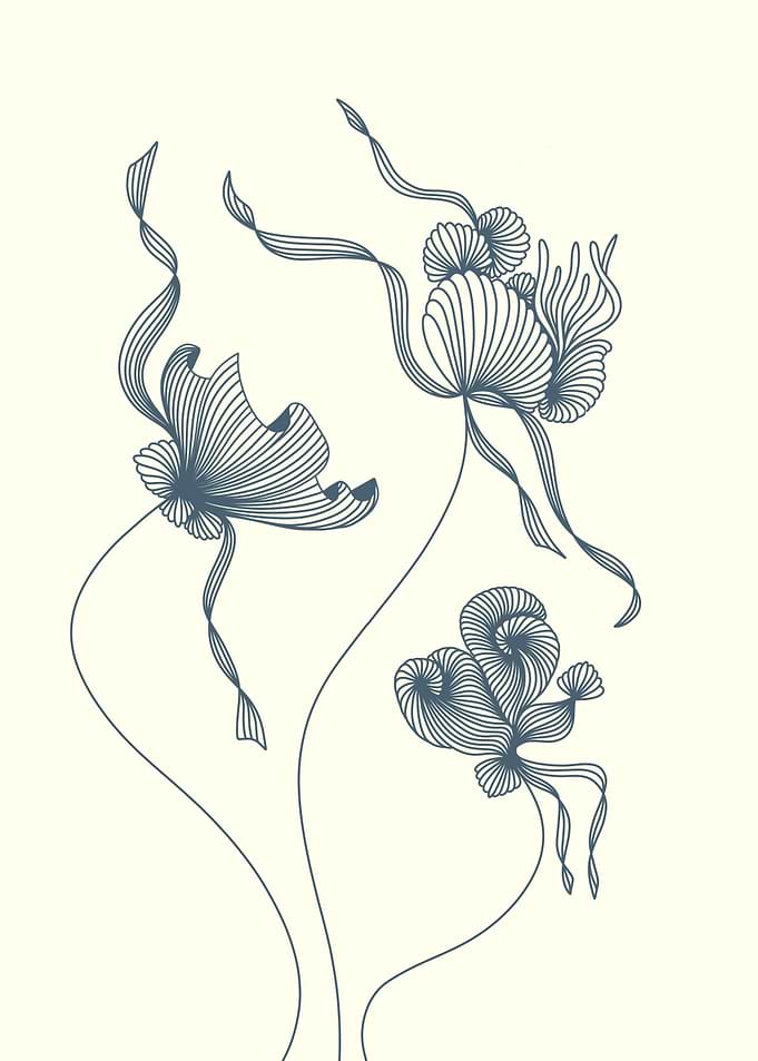 Floating seashells no 1