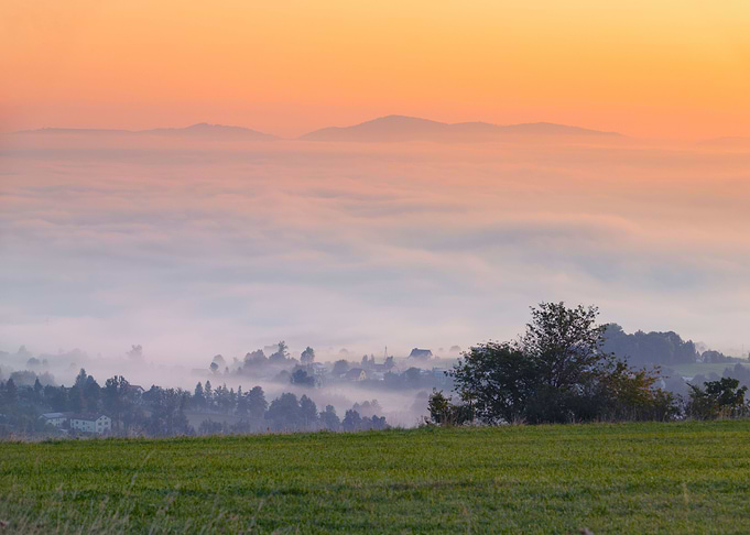 Fog and summer sunrise