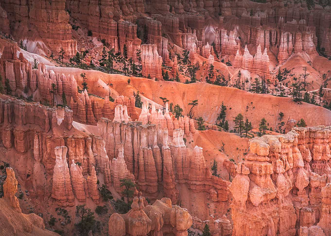 Bryce Canyon Hoodoos