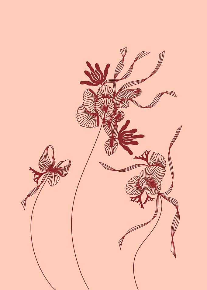 Floating seashells no 3