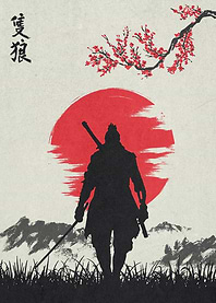 Sekiro Shadow game