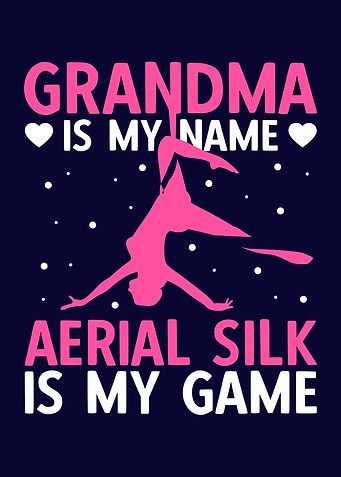 Aerial Silk Acrobat