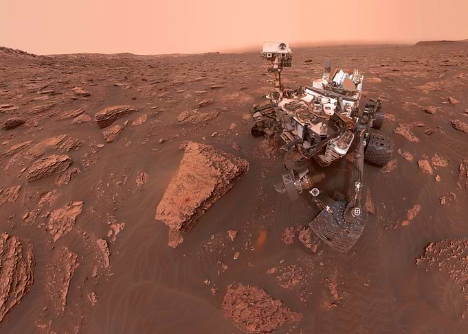 Curiosity selfie