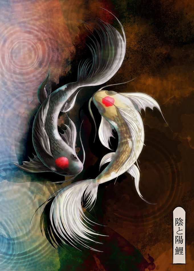 Koi Dark Spirit