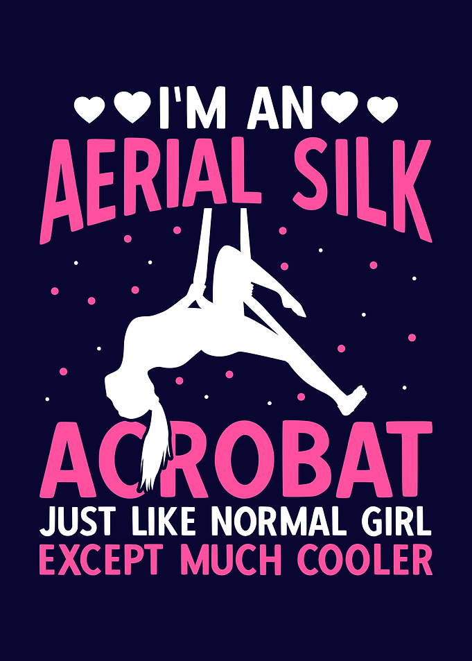 Aerial Silk Acrobat