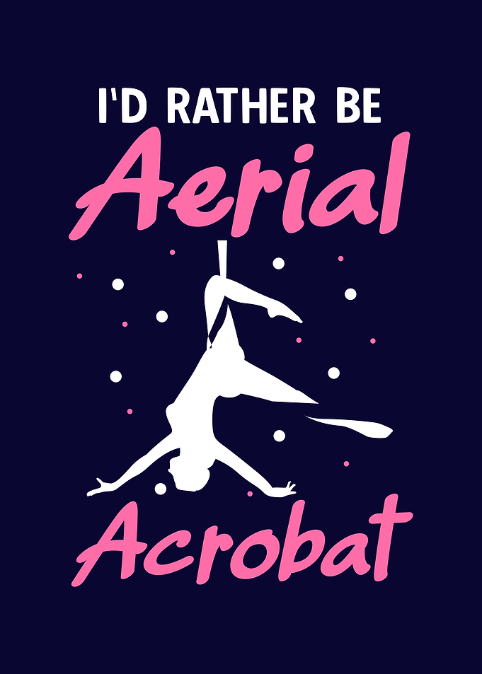 Aerial Silk Acrobat