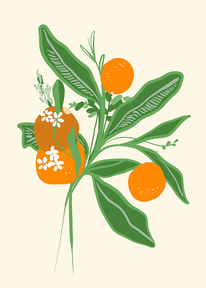 Oranges and white flowers