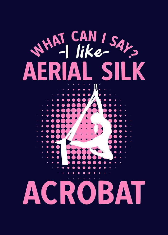 Aerial Silk Acrobat