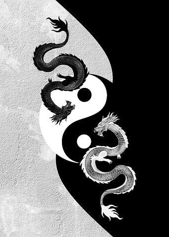 Yin Yang Dragon