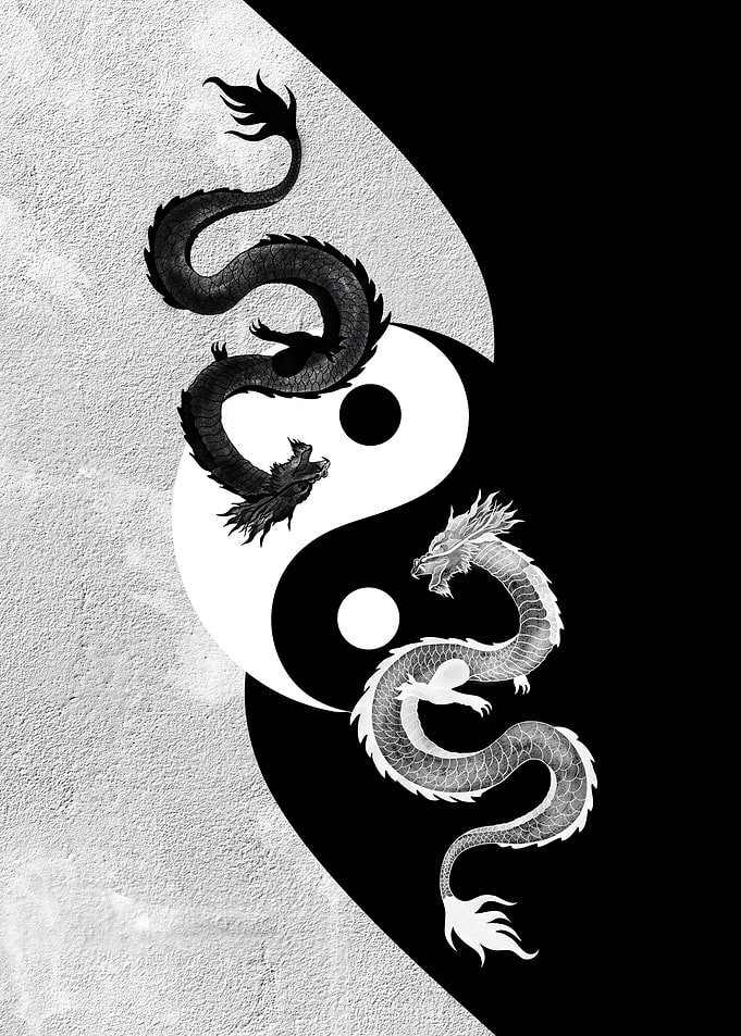 Yin Yang Dragon