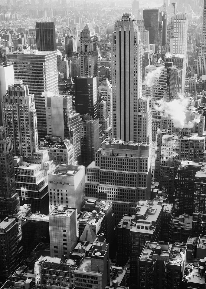 New York View
