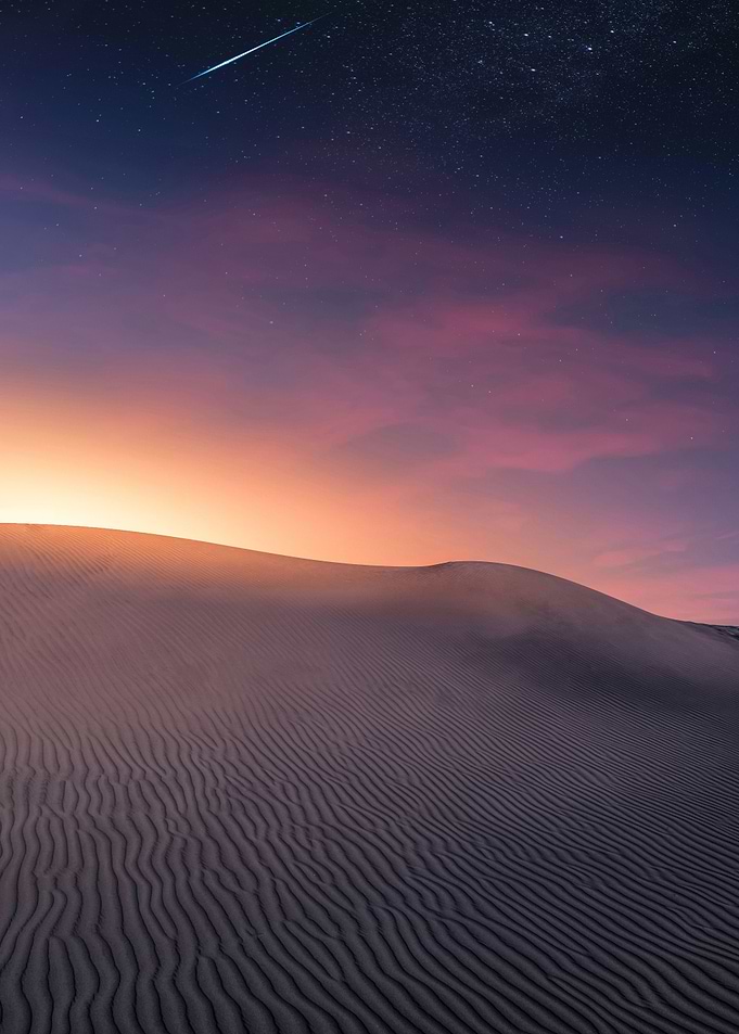 Desert Night